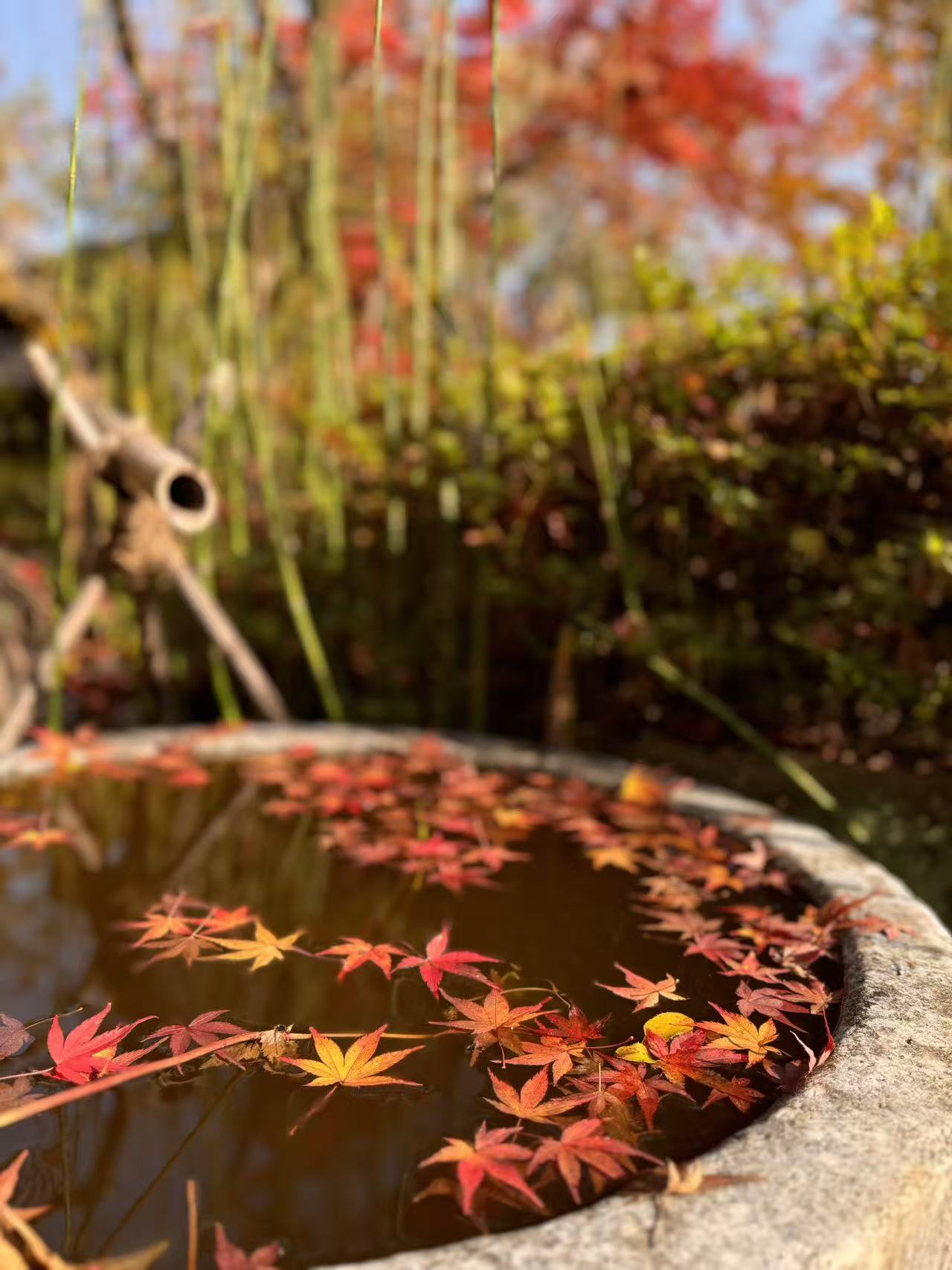 小岚山秋月 露天浴池细节